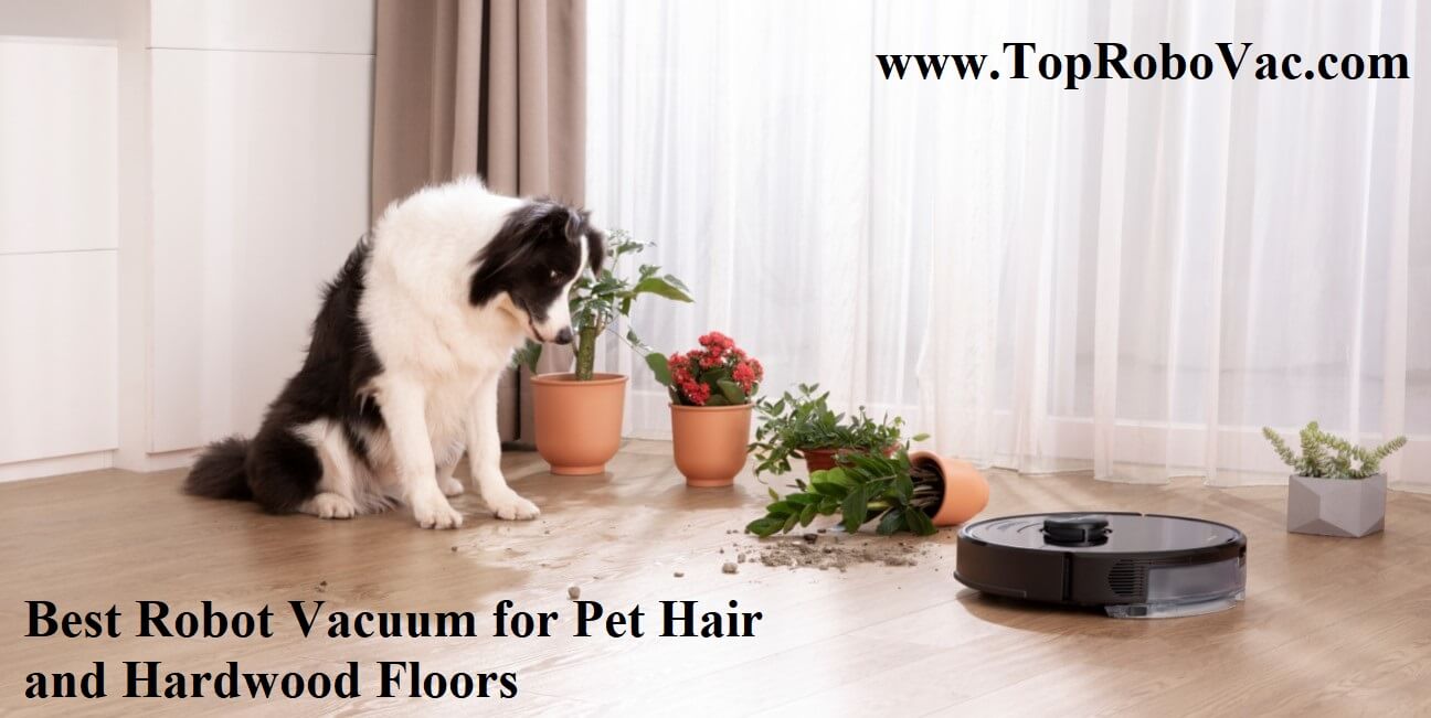 3 Best Robot Vacuum for Pet Hair and Hardwood Floors - Top Robot Vacuum ...